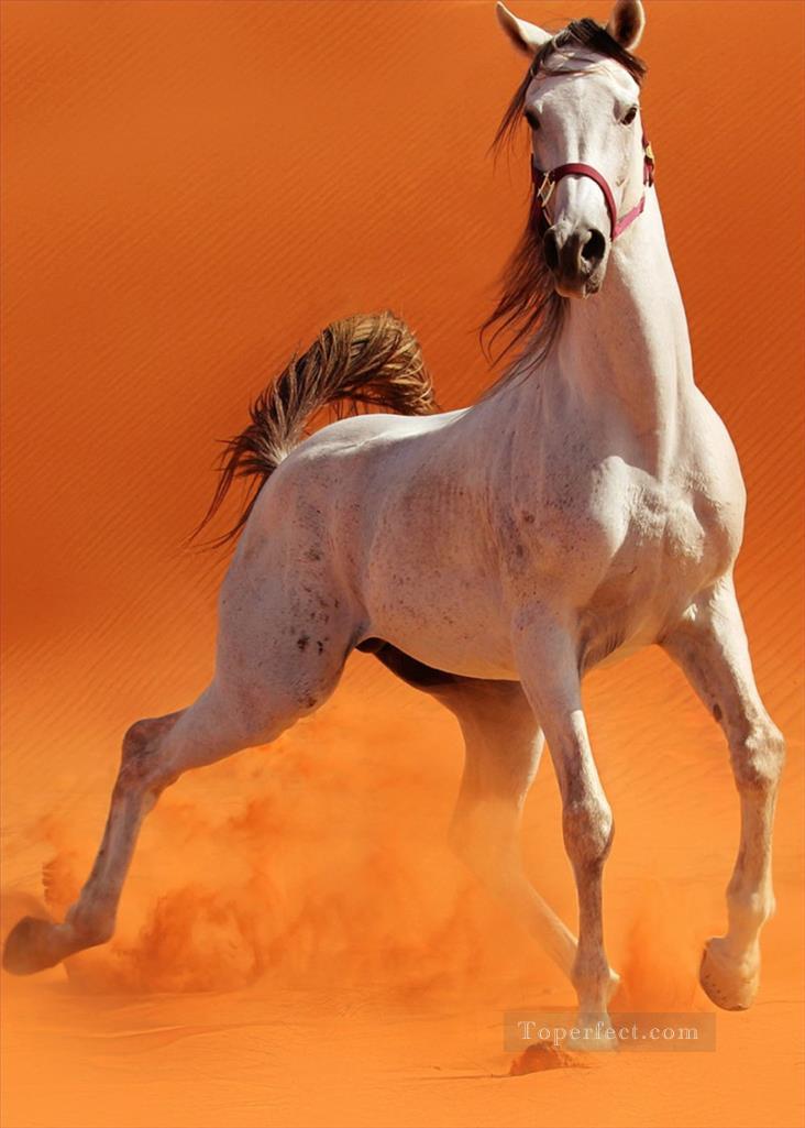 caballo salvaje en el desierto realista de la foto Pintura al óleo